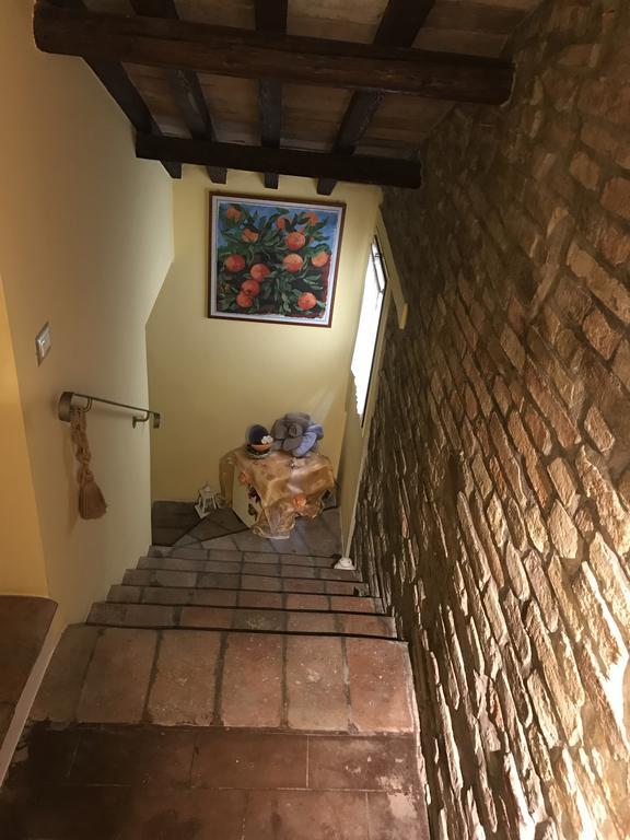 B&B Aurora Domus D'A-Mare Pesaro Buitenkant foto